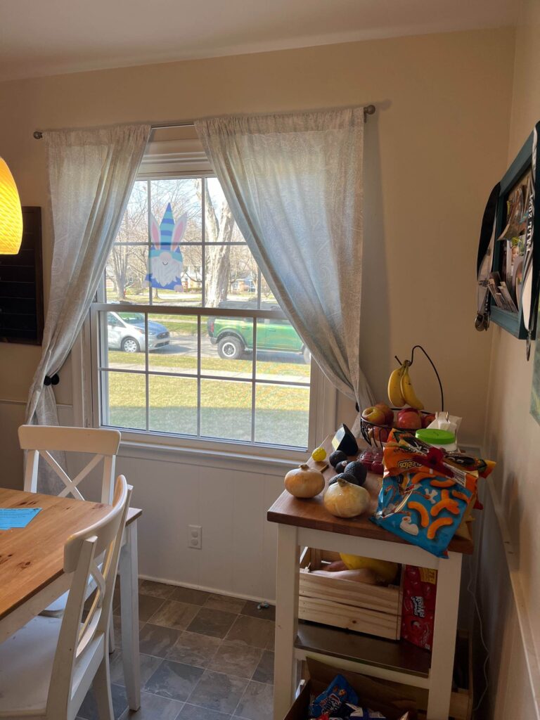 Plymouth MI kitchen remodel - Dining area